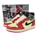 Air Jordan 1 Retro High OG Chicago Shadow (Colorway 3)