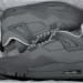 Air Jordan 4 Retro Olympics
