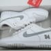 Nike Dunk Low SB CA Edition White Metallic Silver