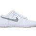 Nike Dunk Low SB CA Edition White Metallic Silver