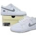 Nike Dunk Low SB CA Edition White Metallic Silver