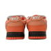 Nike Dunk Low SB CA Edition Orange Lobster