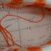 Nike Dunk Low SB CA Edition Orange Lobster