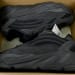 Yeezy Boost 700 V2 LW Vanta
