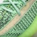 Yeezy Boost 350 V2 A8 Green Zebra Reflective